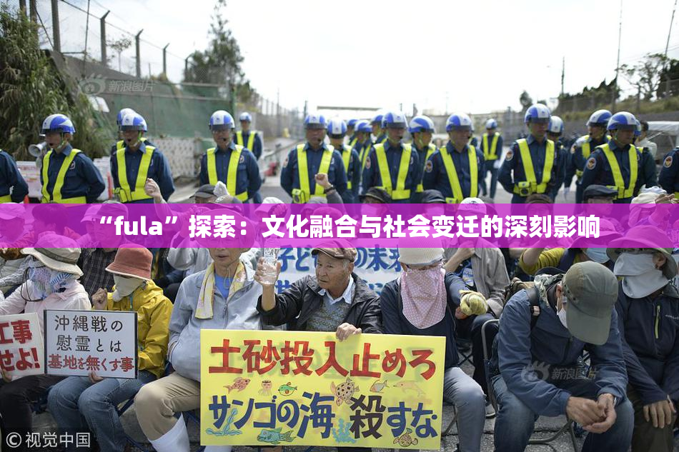 “fula”探索：文化融合与社会变迁的深刻影响