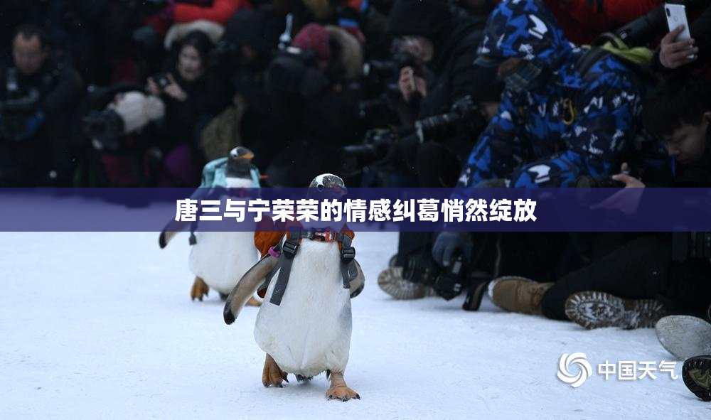 唐三与宁荣荣的情感纠葛悄然绽放