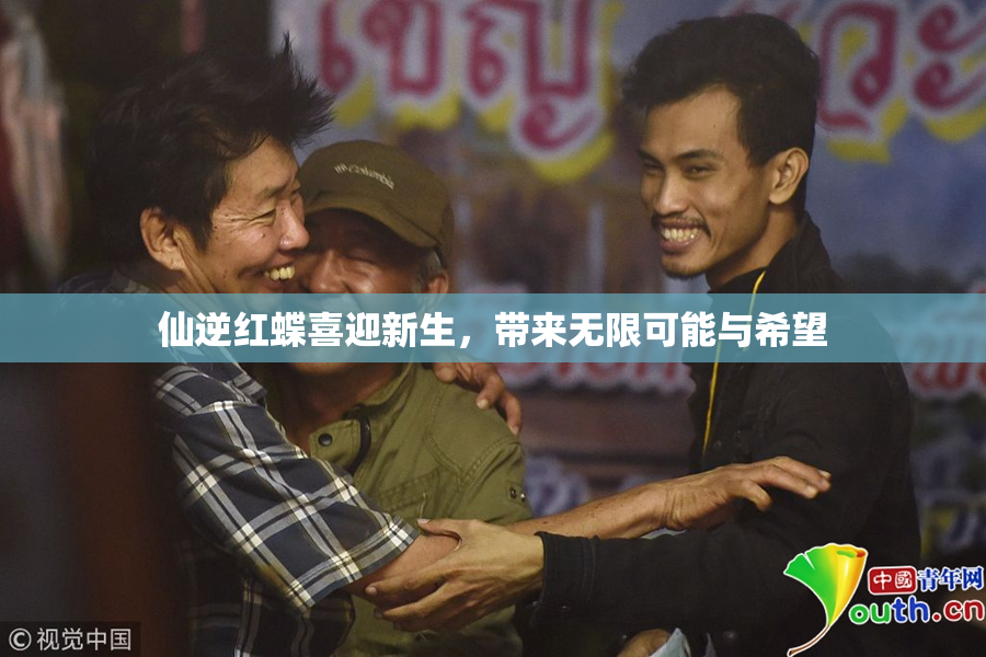 仙逆红蝶喜迎新生，带来无限可能与希望