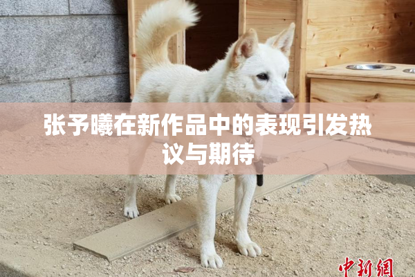 张予曦在新作品中的表现引发热议与期待