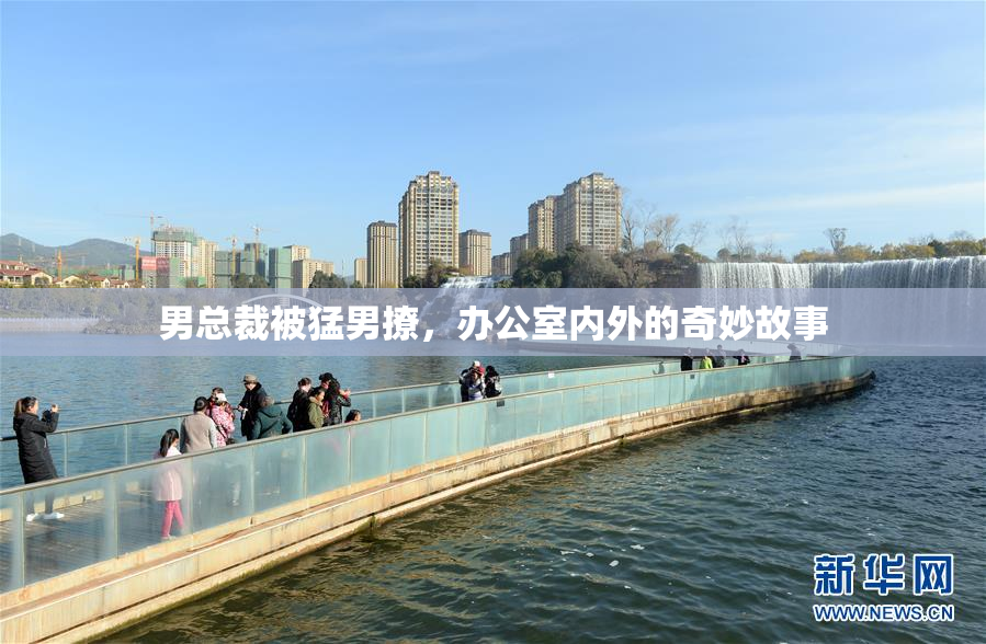 男总裁被猛男撩，办公室内外的奇妙故事