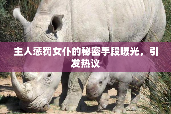 主人惩罚女仆的秘密手段曝光，引发热议