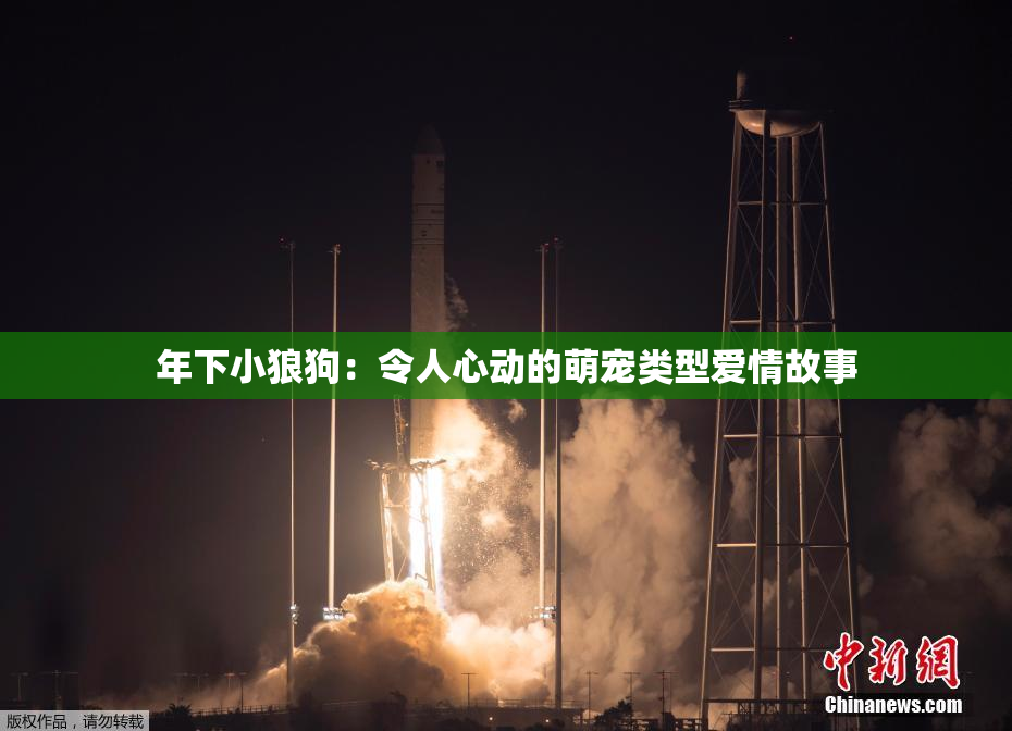 年下小狼狗：令人心动的萌宠类型爱情故事