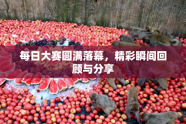 每日大赛圆满落幕，精彩瞬间回顾与分享
