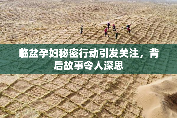 临盆孕妇秘密行动引发关注，背后故事令人深思