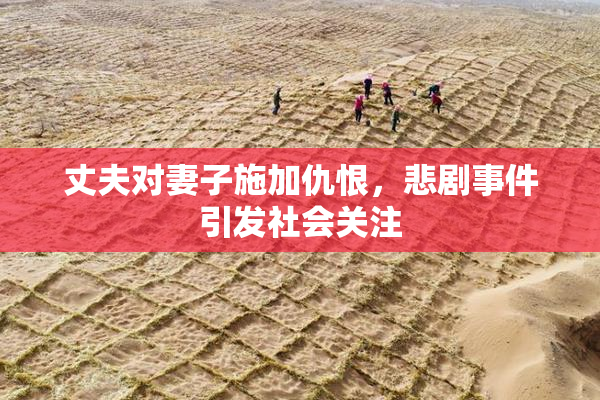 丈夫对妻子施加仇恨，悲剧事件引发社会关注
