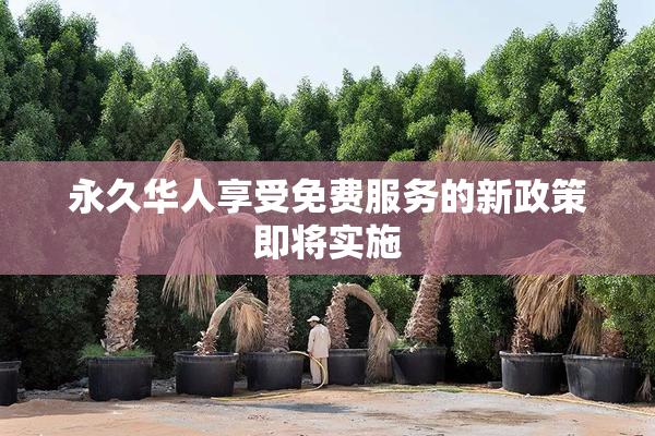 永久华人享受免费服务的新政策即将实施