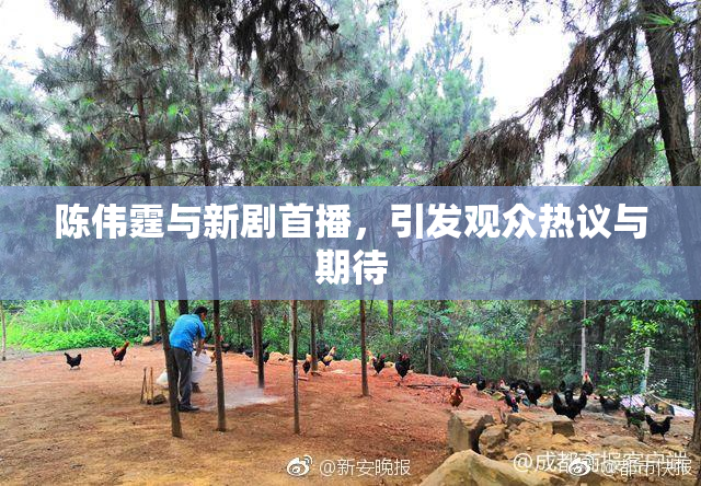 陈伟霆与新剧首播，引发观众热议与期待