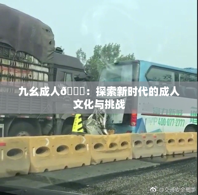 九幺成人🔞：探索新时代的成人文化与挑战