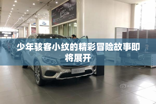 少年骇客小纹的精彩冒险故事即将展开