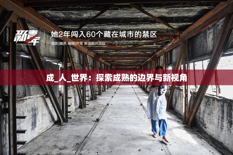 成_人_世界：探索成熟的边界与新视角