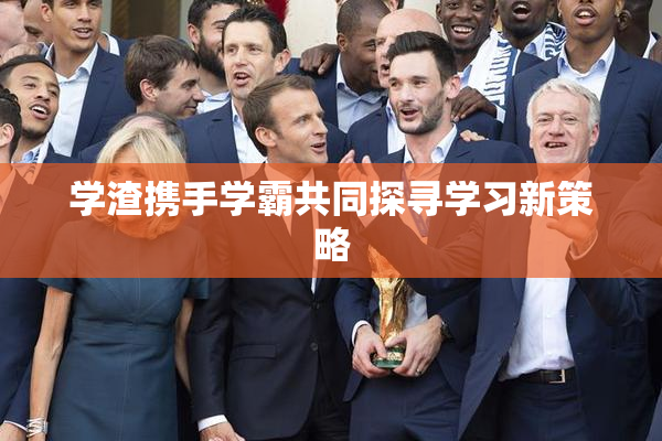学渣携手学霸共同探寻学习新策略