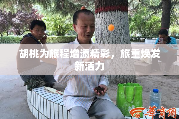 胡桃为旅程增添精彩，旅重焕发新活力
