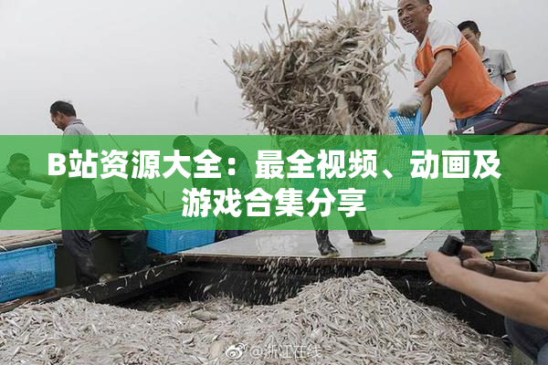 B站资源大全：最全视频、动画及游戏合集分享