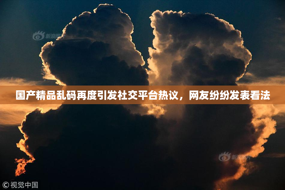 国产精品乱码再度引发社交平台热议，网友纷纷发表看法
