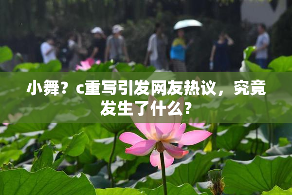 小舞？c重写引发网友热议，究竟发生了什么？