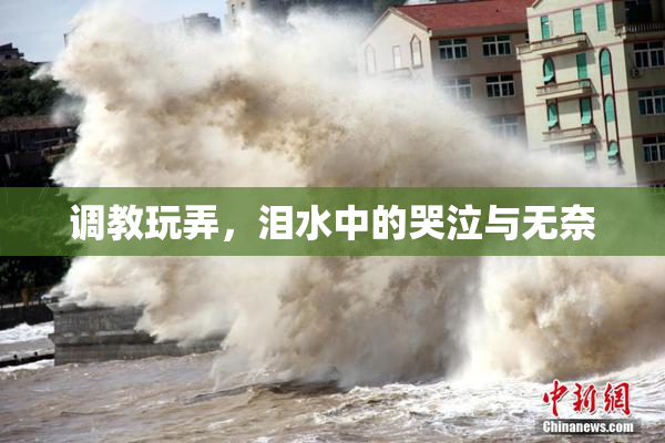 调教玩弄，泪水中的哭泣与无奈