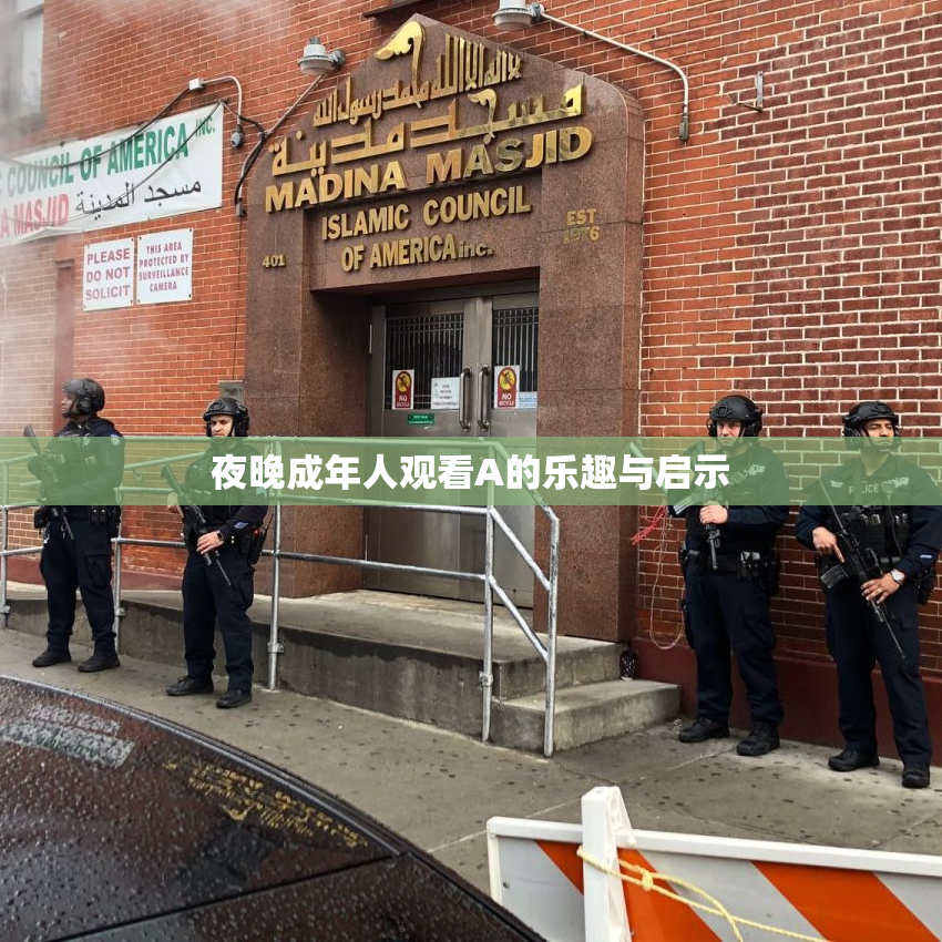 夜晚成年人观看A的乐趣与启示