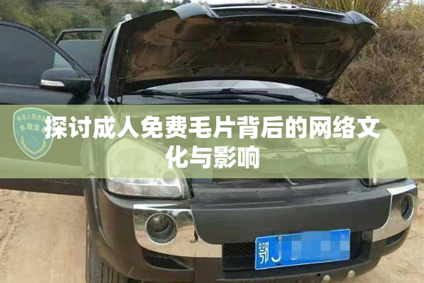 探讨成人免费毛片背后的网络文化与影响