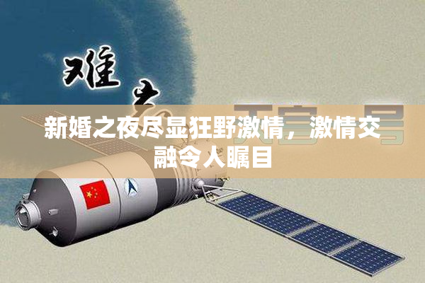新婚之夜尽显狂野激情，激情交融令人瞩目