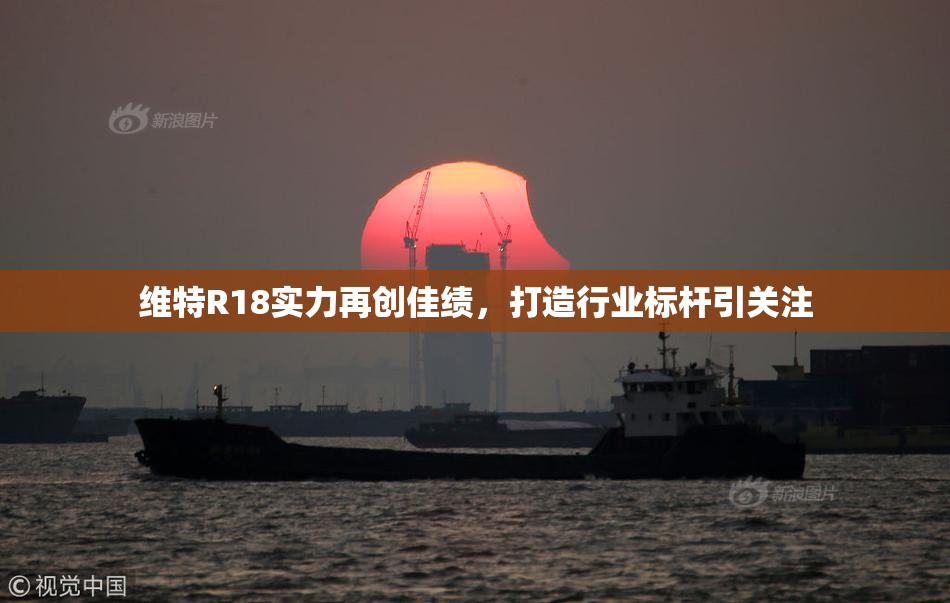 维特R18实力再创佳绩，打造行业标杆引关注