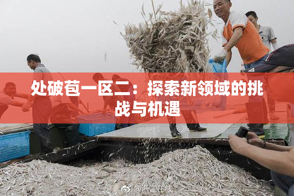 处破苞一区二：探索新领域的挑战与机遇