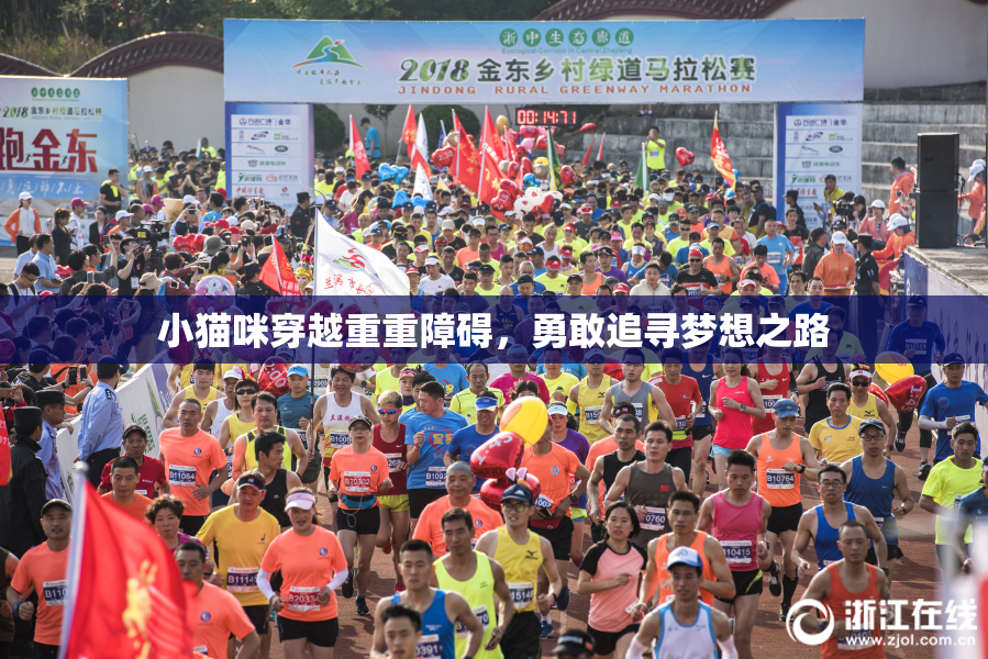 小猫咪穿越重重障碍，勇敢追寻梦想之路