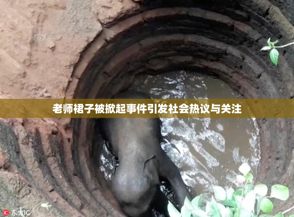 老师裙子被掀起事件引发社会热议与关注