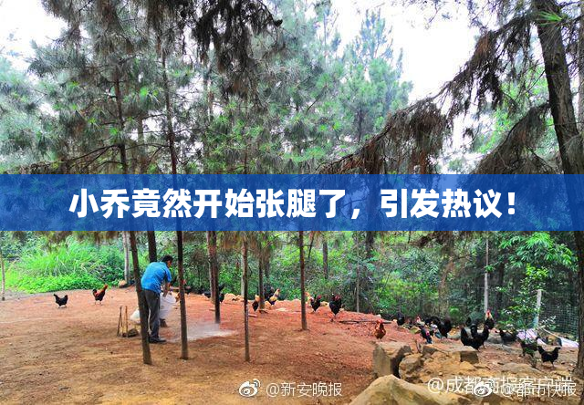 小乔竟然开始张腿了，引发热议！