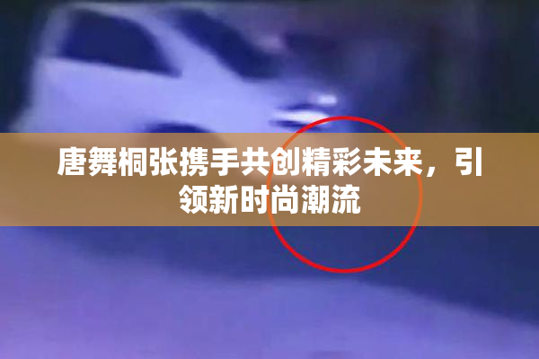 唐舞桐张携手共创精彩未来，引领新时尚潮流