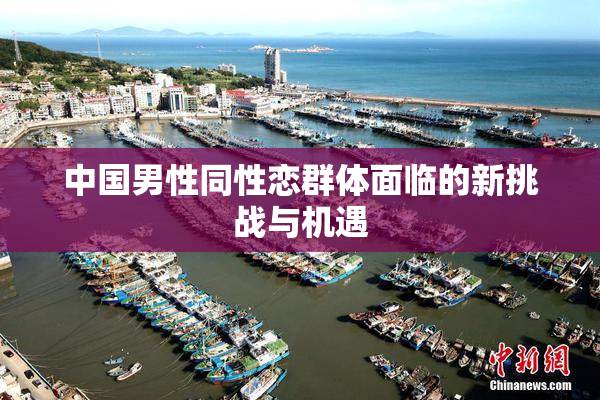 中国男性同性恋群体面临的新挑战与机遇