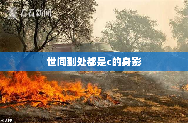 世间到处都是c的身影