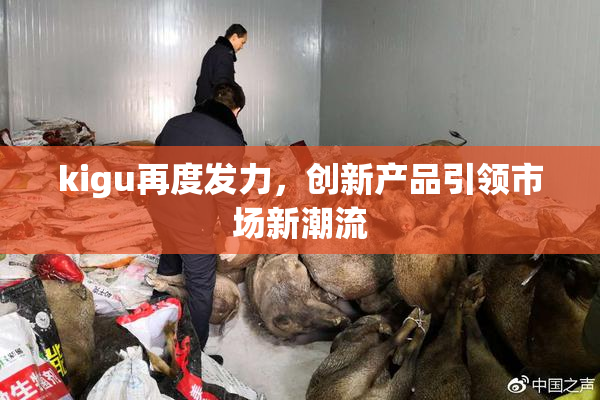 kigu再度发力，创新产品引领市场新潮流