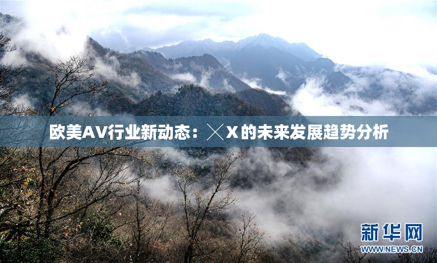 欧美AV行业新动态：╳Ⅹ的未来发展趋势分析