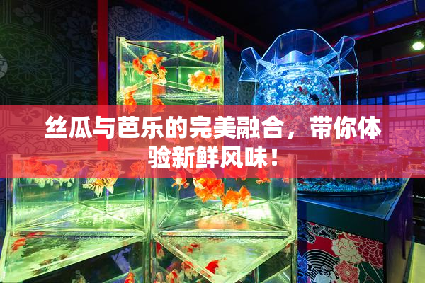 丝瓜与芭乐的完美融合，带你体验新鲜风味！