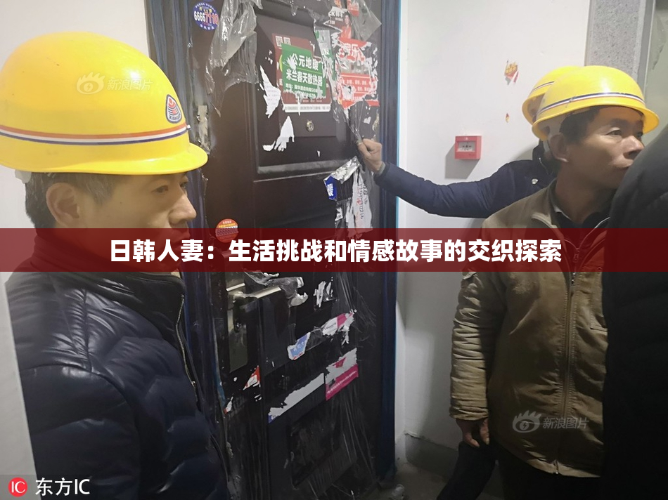 日韩人妻：生活挑战和情感故事的交织探索