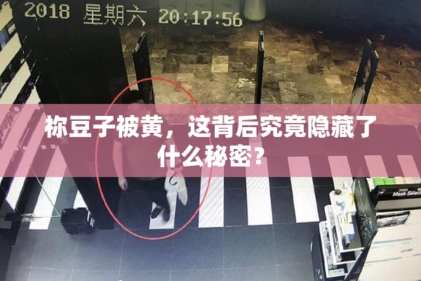 祢豆子被黄，这背后究竟隐藏了什么秘密？