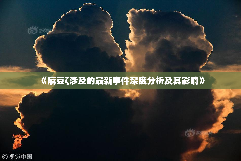 《麻豆ζ涉及的最新事件深度分析及其影响》