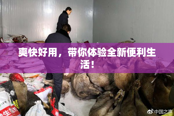 爽快好用，带你体验全新便利生活！