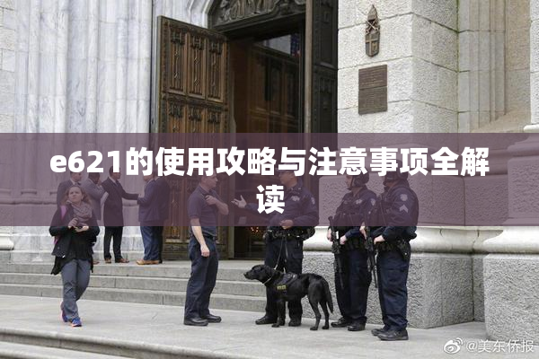 e621的使用攻略与注意事项全解读