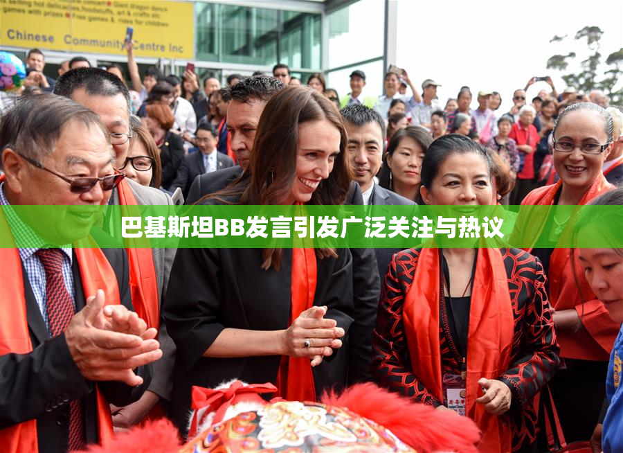 巴基斯坦BB发言引发广泛关注与热议