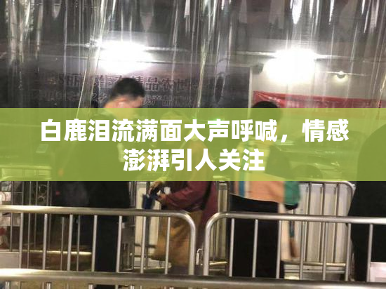 白鹿泪流满面大声呼喊，情感澎湃引人关注