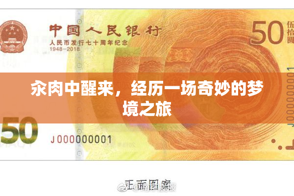 汆肉中醒来，经历一场奇妙的梦境之旅