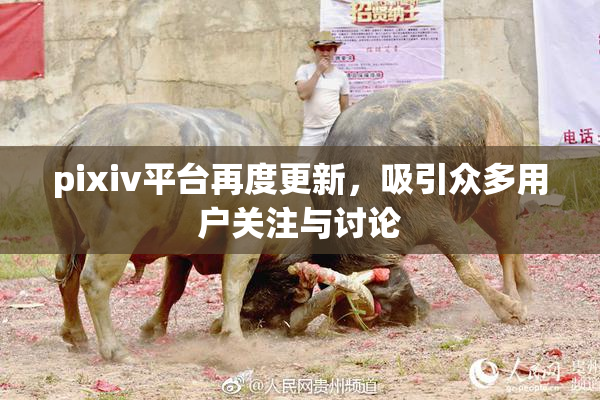 pixiv平台再度更新，吸引众多用户关注与讨论