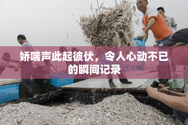 娇喘声此起彼伏，令人心动不已的瞬间记录