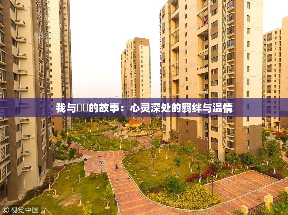 我与妺妺的故事：心灵深处的羁绊与温情