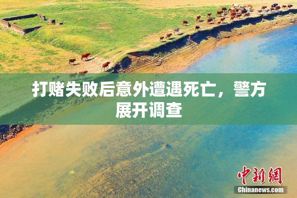 打赌失败后意外遭遇死亡，警方展开调查