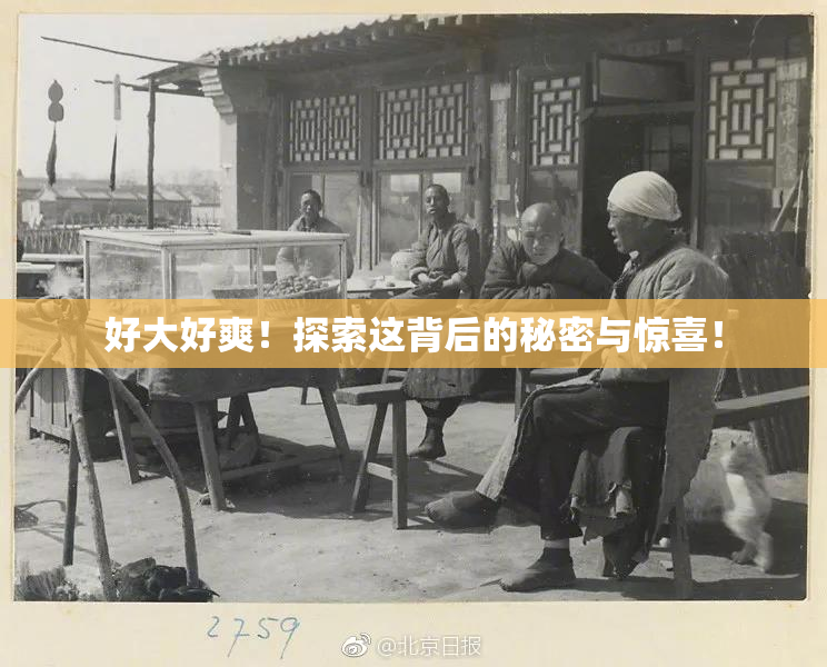 好大好爽！探索这背后的秘密与惊喜！