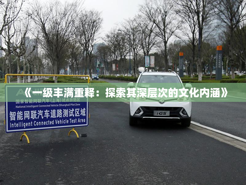 《一级丰满重释：探索其深层次的文化内涵》