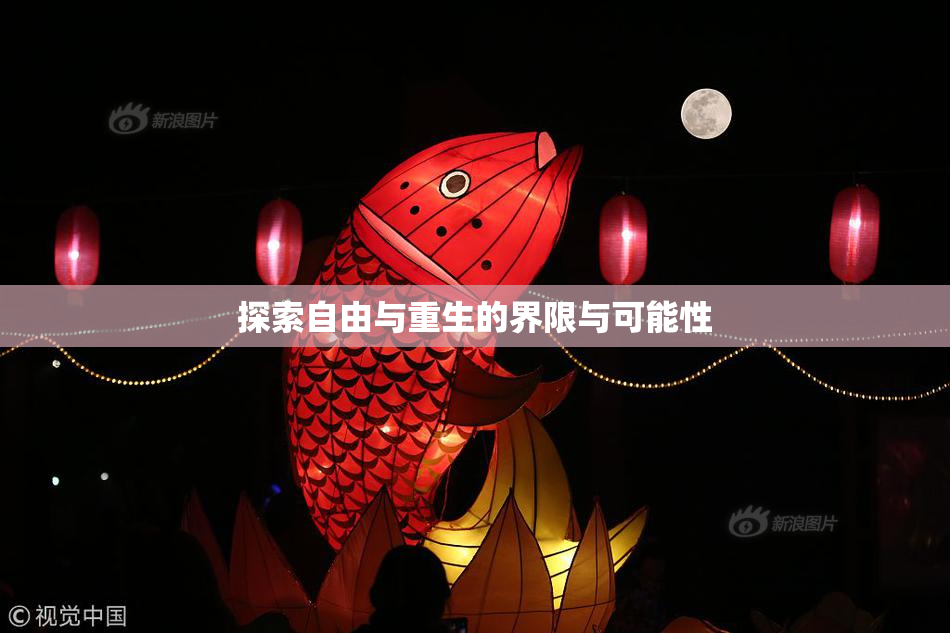 探索自由与重生的界限与可能性
